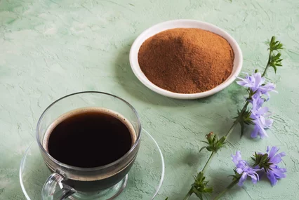 Chicory coffee. A substitute for traditional coffee, a herbal drink from the roots of chicory