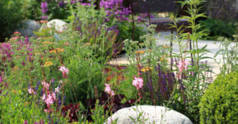 Rain Garden Flower Garden