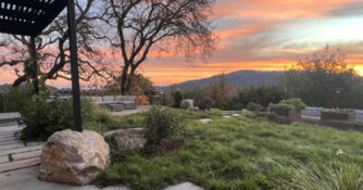 Native Lawn by Christian Douglas