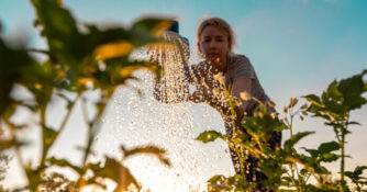 Woman Watering Plants