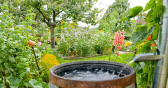 Rain Barrel Garden